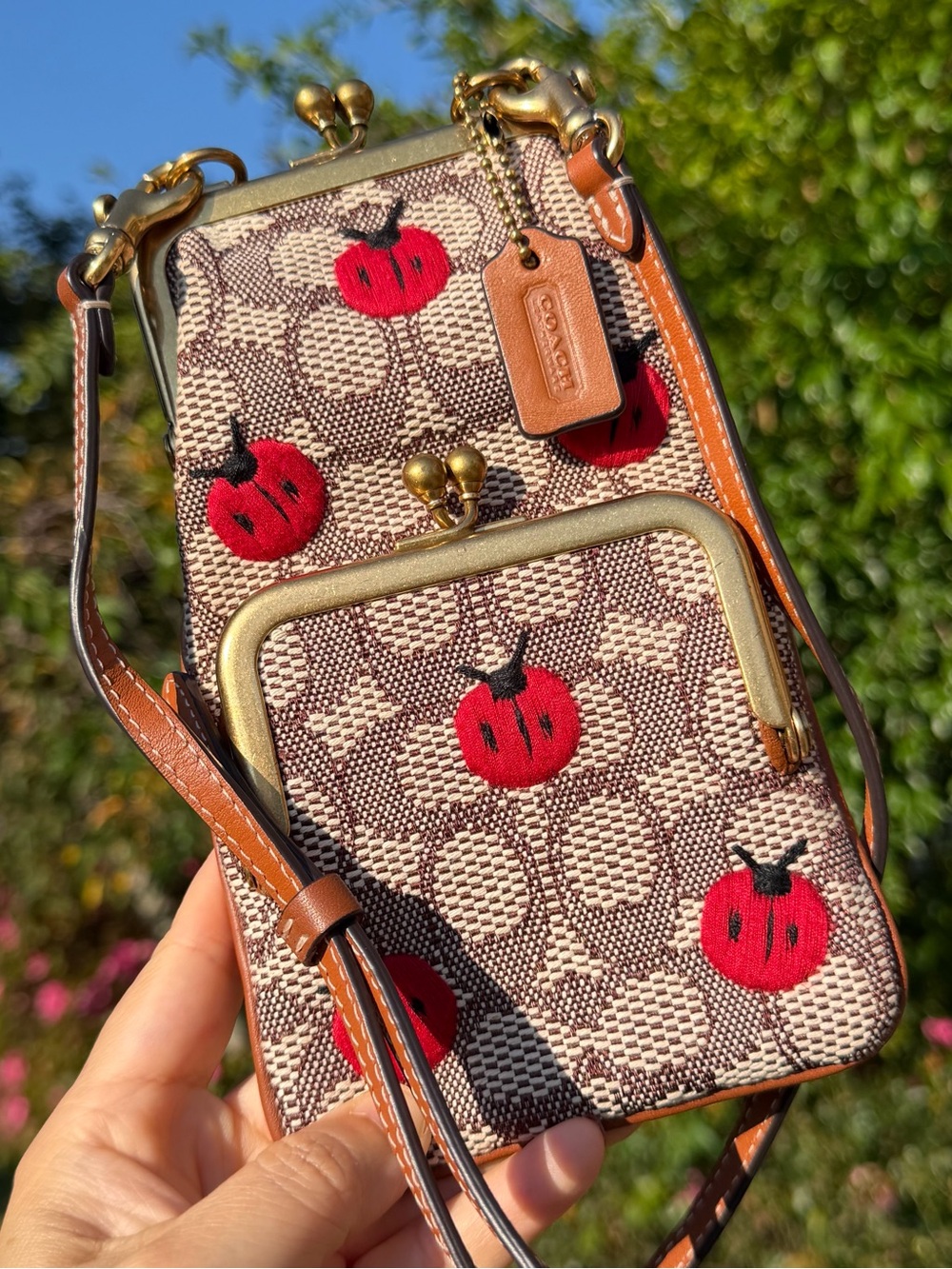 Coach Double Frame Crossbody 12 In Signature Textile Jacquard C6522